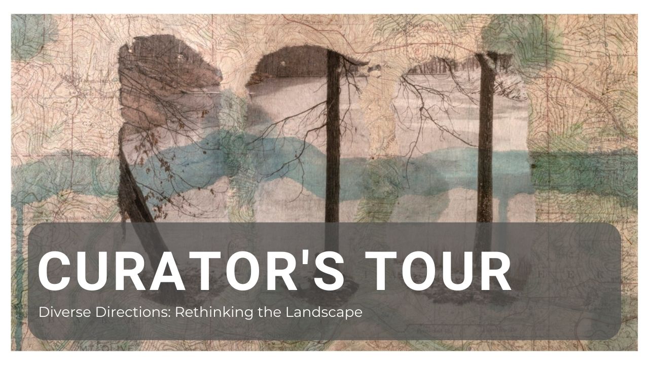 Curator’s Tour: Diverse Directions