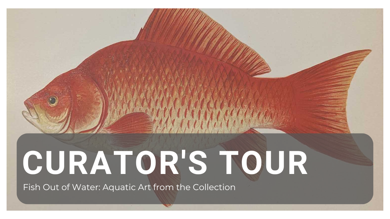 Curator’s Tour: Fish Out of Water